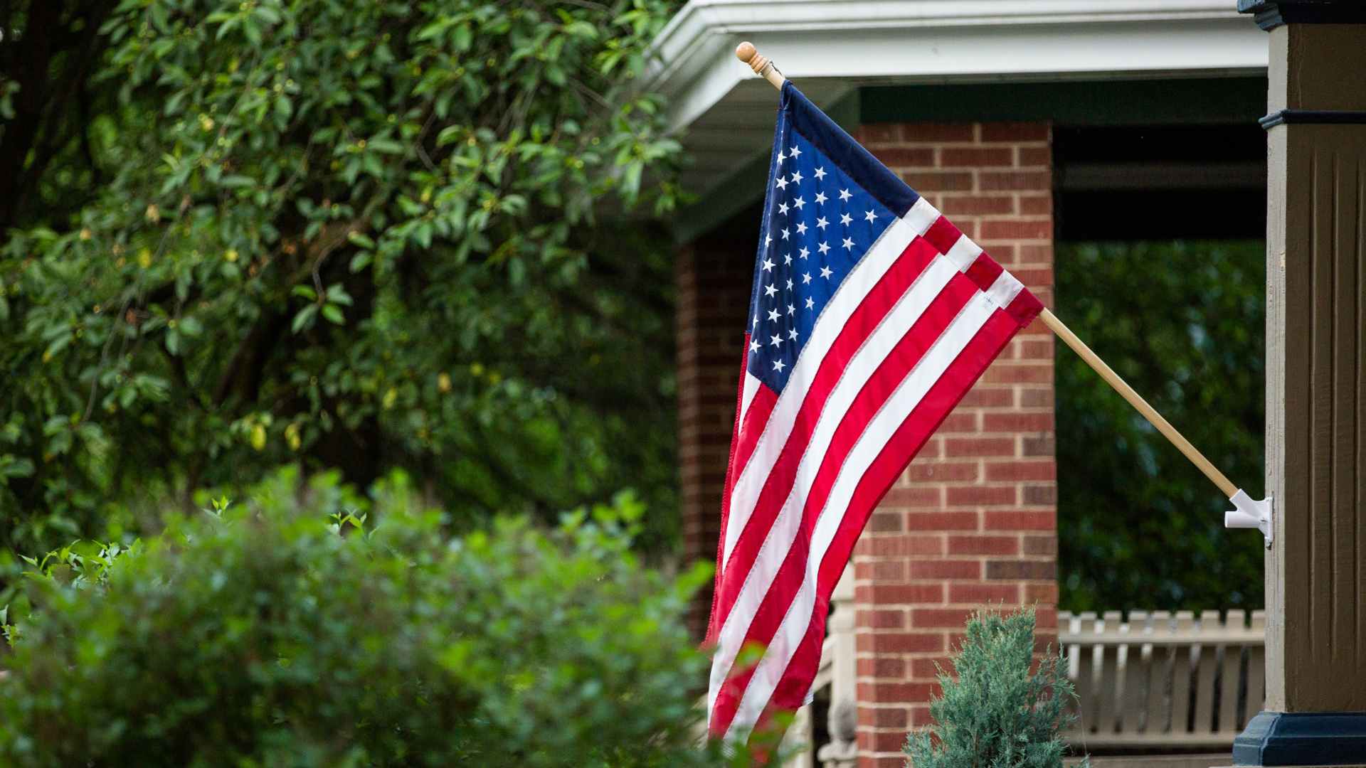 Tree american flag 2