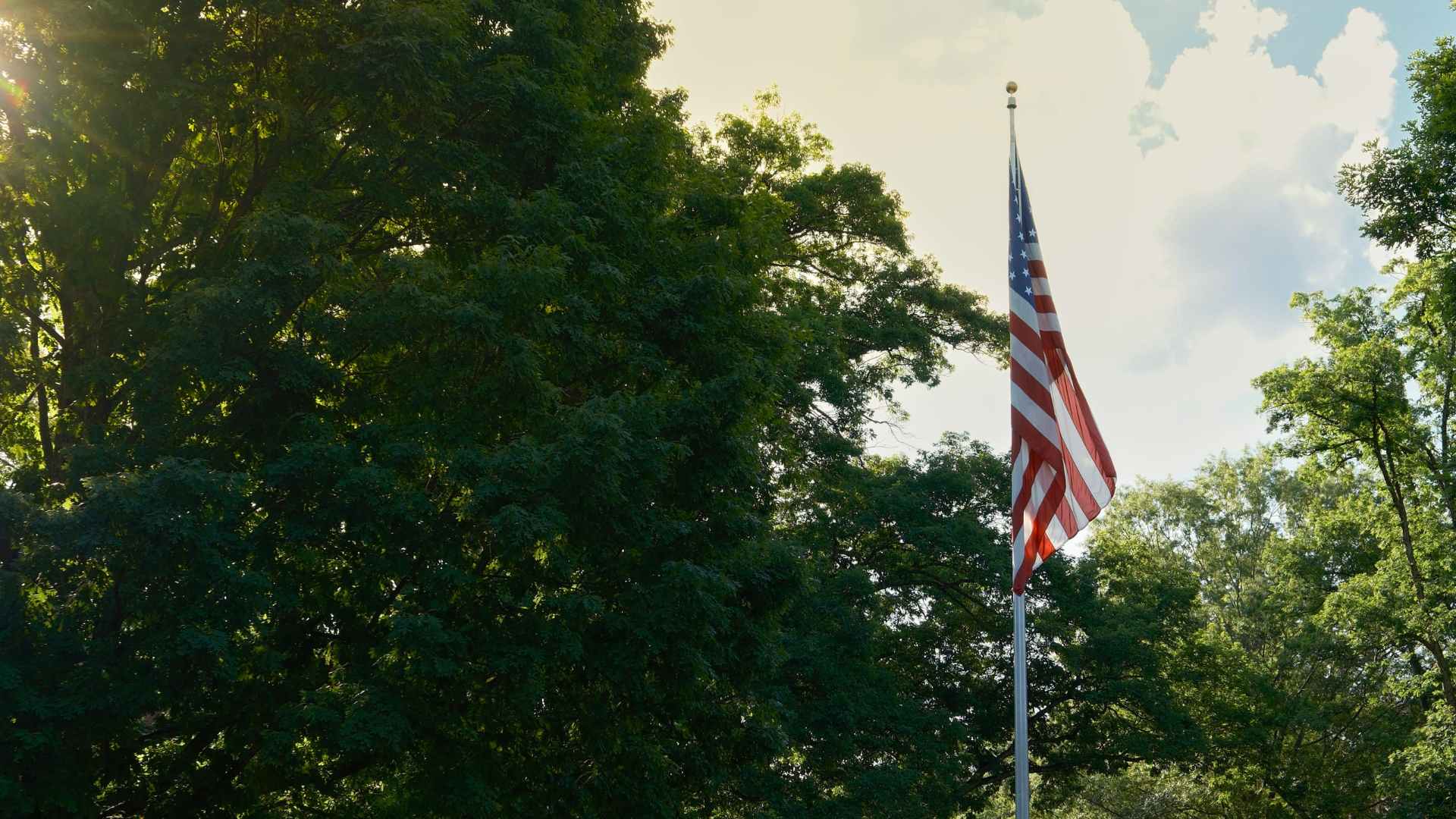 Tree american flag 3