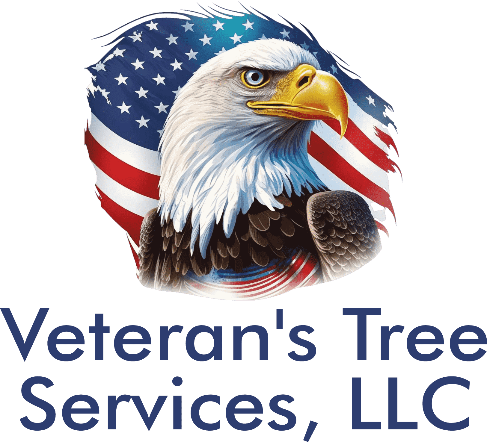 Veteran's Tree Services, LLC Logo 1